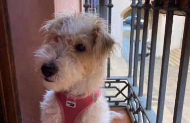 La Fonda del Arco - Photo 27