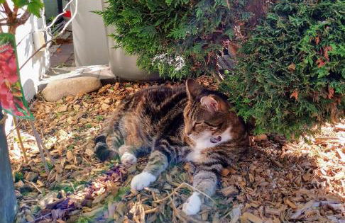 Modernes, Mini-Apartment Nürnberg,Playmobil - Foto 9