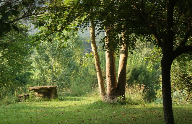 Casa Rural Mas Prat en Santa Margarita de Bianya - Foto 23