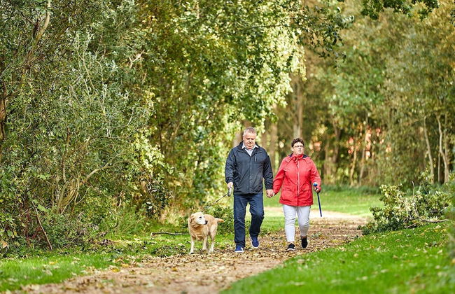 Holiday Home in Zeeland Near Beaches - Foto 10