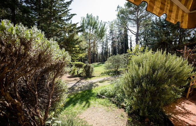 Fattoria Sant'Andrea - Photo 59