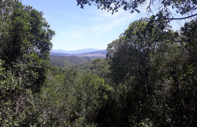 Moon Shine on Whiskey Creek - Foto 53