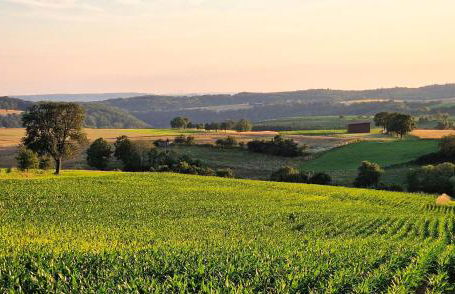 Ferienhaus Maias Muthof - Foto 28