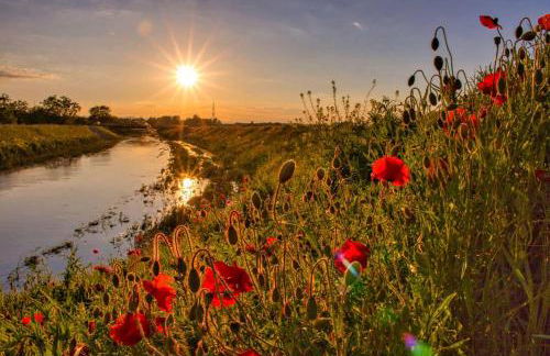 Ferienwohnung Ortenau - Foto 16