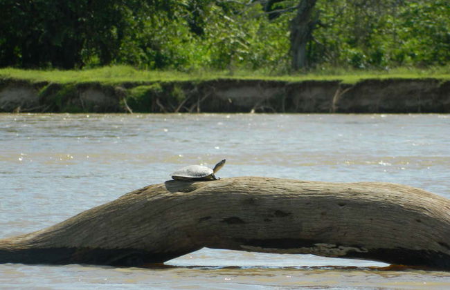 Magdalena River Cruise - Photo 3