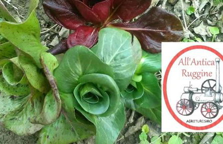 All'Antica Ruggine - Photo 54