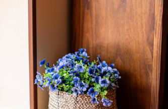 Finca Navalpino a 900 m de Puy du Fou - Foto 63