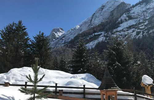 Cesa Mandi e Miky - Foto 79