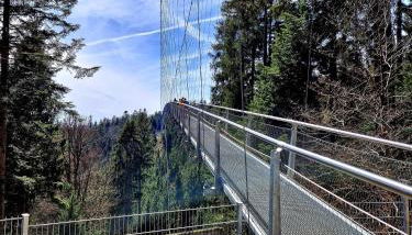 Aparthotel Schwarzwald Panorama - Foto 5