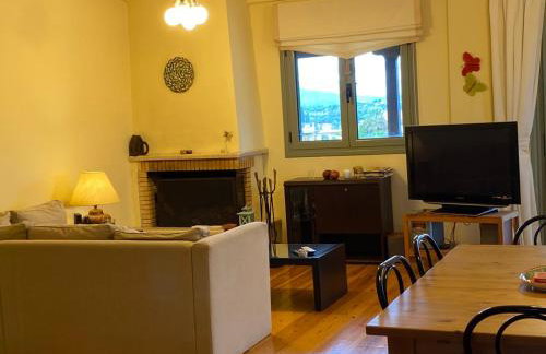 Aeria View - Foto 19