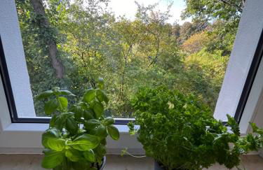 Moderne Wohlfühl-Wohnung in Troisdorf Altenrath - Foto 41