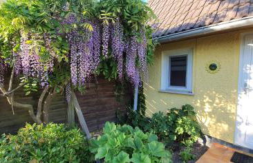 Ferienhaus Sonneck - Foto 18