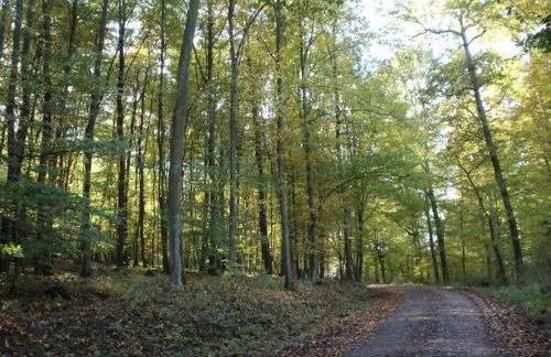 Charming apartment in Buch - Foto 22