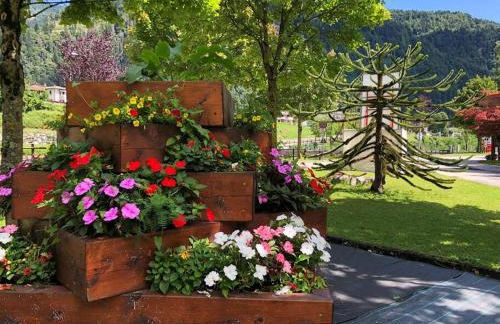 Holiday Guesthouse La Casina di Butzi pet friendly - Terme di Arta - Zoncolan - Foto 16