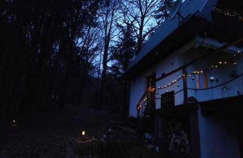 UNDER THE GREEN ROOF - Foto 65