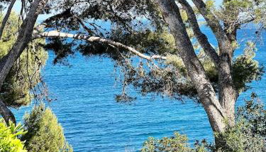 Casa Belladona - Photo 5