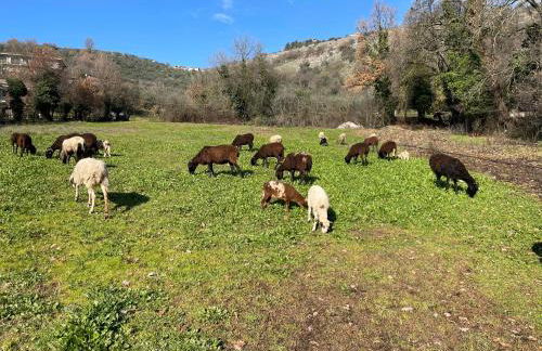 Agriturismo Torre Ercolana - Foto 111