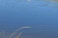 Haus am Wasser - Photo 10