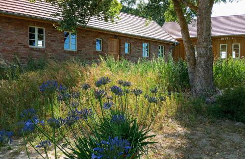 Historic House By The Elbe River - Foto 36