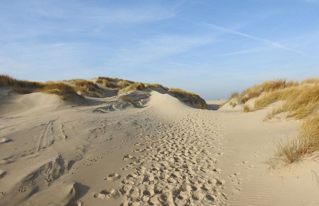 Cottage on a Vacation Park - Foto 41