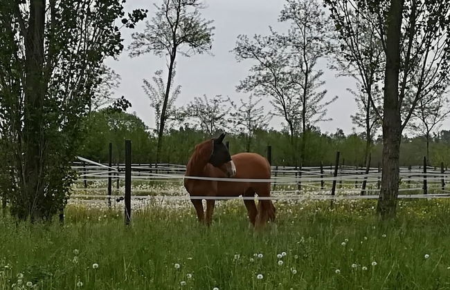 Cascina Moretta - Foto 8