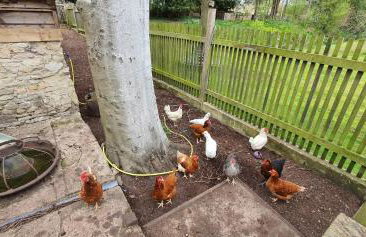 Dove House Cottages - No 2 - Foto 7