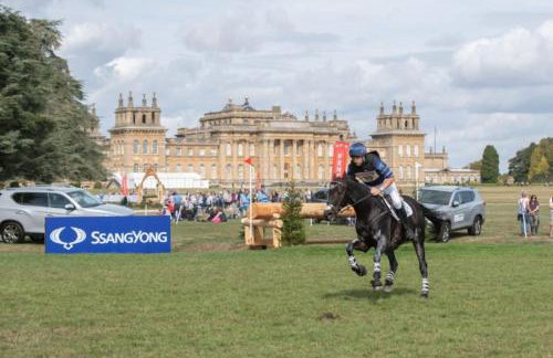 The Green Bus and the lodge - Foto 15