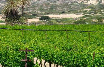 Agrilos Sea View House - Foto 58