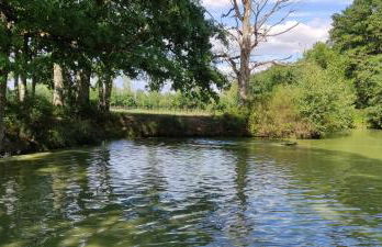 Gîte confort Les Grandes Maisons et Espace Bien Être - Photo 30