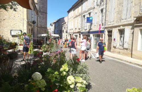 Gîte de la Cathédrale - Lectoure - Photo 8