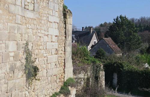 LE PETIT BRY charmante longère au pied du chateau - Foto 25