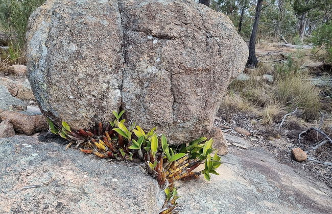 Glen Lough Cabins - Foto 32