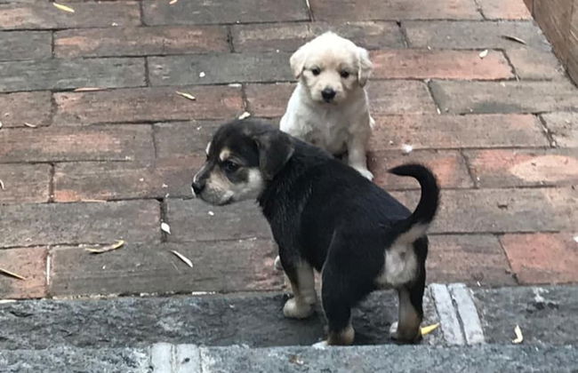 Borgo San Biagio - Foto 29