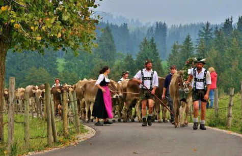 Veiter-Hof - Foto 52