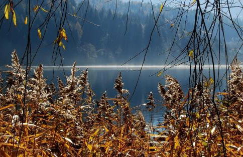 Ca' del Pettirosso - Foto 38