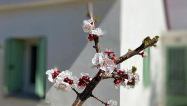 Anastasia, downtown village house - Foto 3