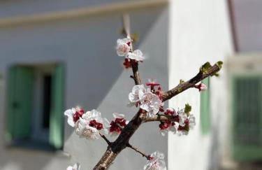 Anastasia, downtown village house - Foto 3