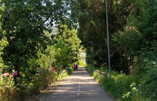 Casa Fermil do Lago - Foto 64