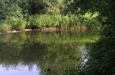 Hammerschloss Unterklingensporn - Foto 12