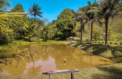 Sítio Bosque das Palmeiras - Foto 22