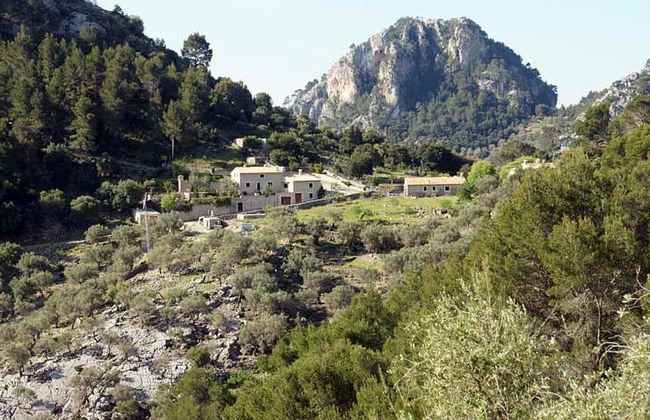 Es Barracar - Photo 37