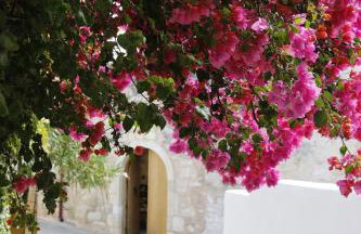 Tholos by Praxithea Stone House & Pool - Foto 37