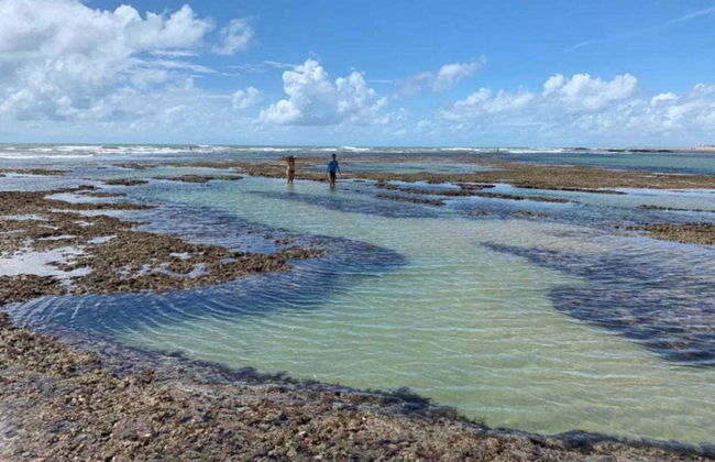 Excursión a las playas de Mundaú y Flecheiras - Foto 2