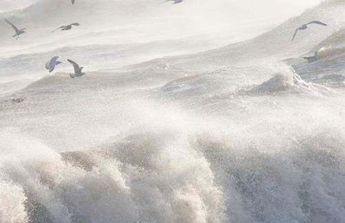 Talehay Cottages - Foto 22