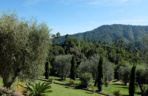 Tenuta di Campodori - Foto 43