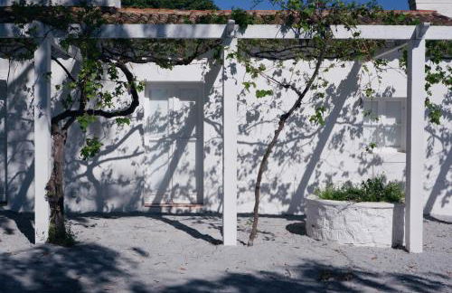 Monte dos Coureleiros - Foto 7