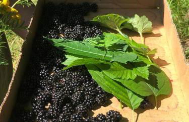 Riverfront Getaway on the Wild and Scenic - Foto 45