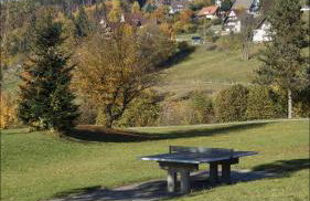 Ferienwohnung im Terrassenpark Sasbachwalden - Foto 28