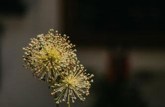 Haus Bergfrieden - Foto 21