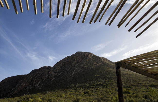 Kogman and Keisie Guest Farm - Foto 60